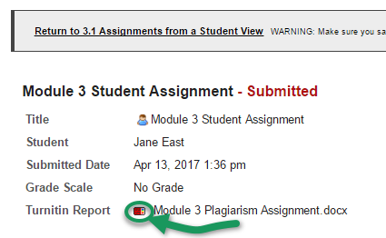 A submitted assignment displays a Turnitin Report row, with a square, red status icon link beside it