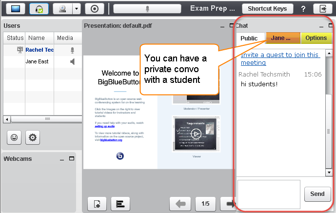 Alt=Meetings, with Chat area, and Public tab, private student Jane tab, and Options tab
