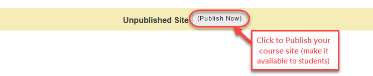 Publish Now button is circled, in the top middle of a Sakai site