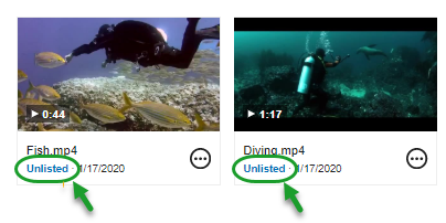Two videos displayed in a Media Library. Both have the label "Unlisted" under their thumbnails.