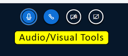 Audio/Visual toolbar includes microphone icon, phone icon, webcam icon, and screen share icon